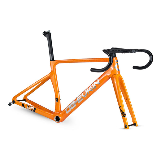 LOONG Road Frame Disc Brake