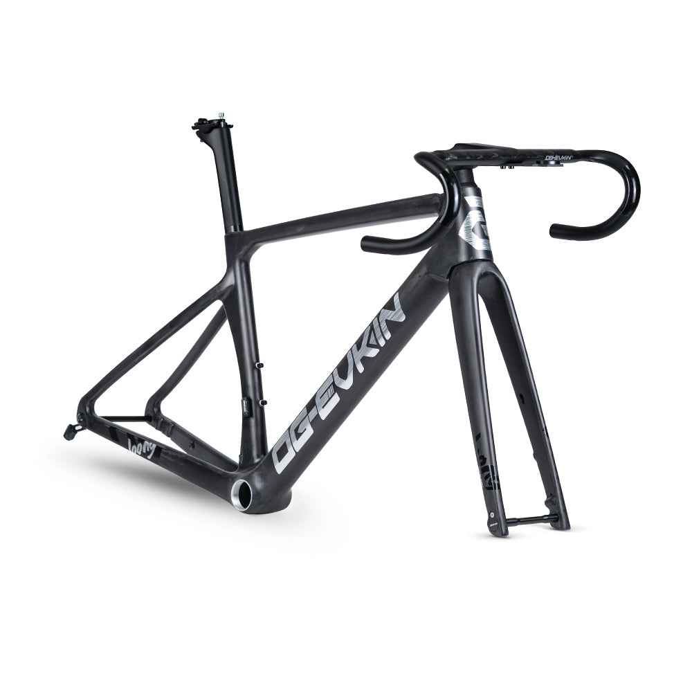 LOONG Road Frame Disc Brake