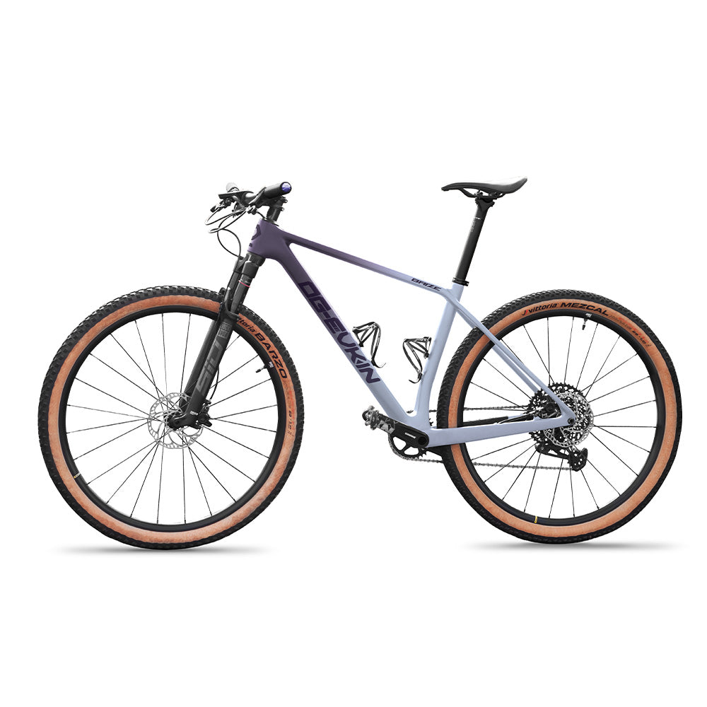 Mtb discount carbon 2021