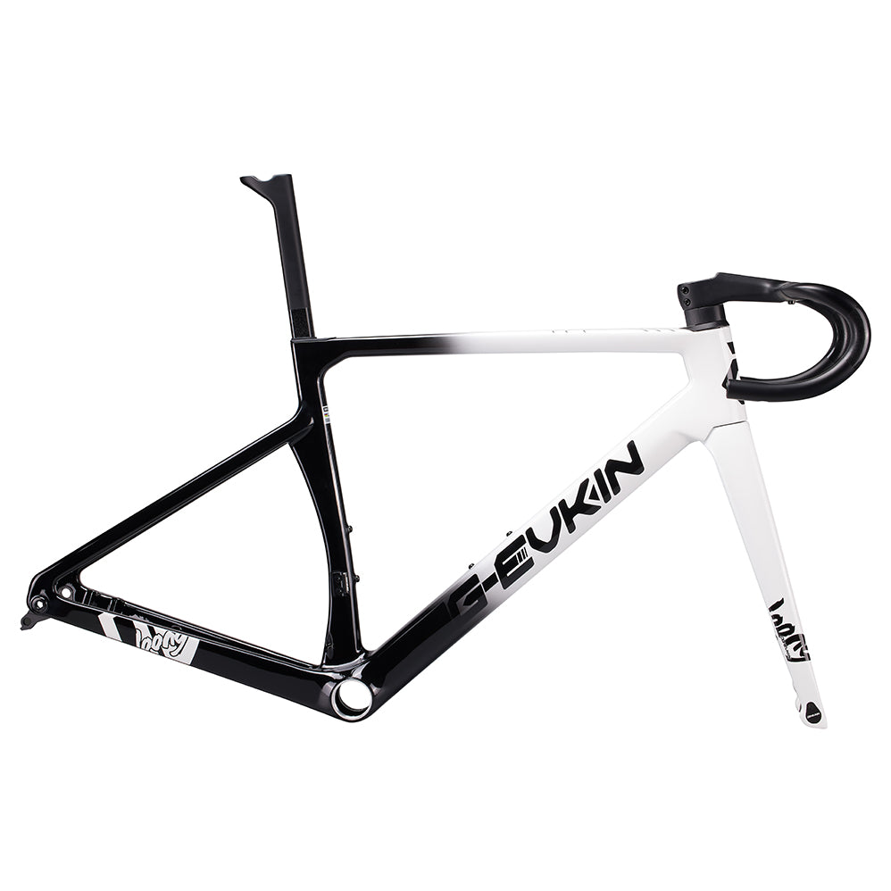 LOONG Road Frame Disc Brake